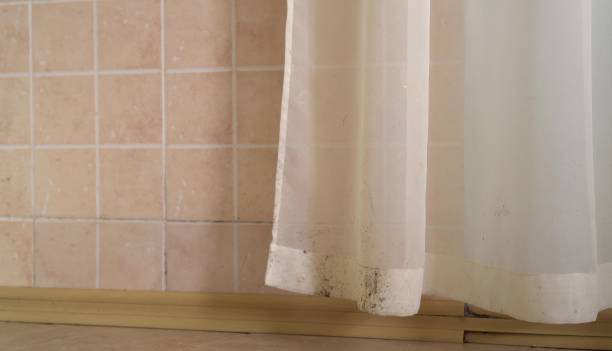 Forensic Mold Investigation in Scappoose, OR