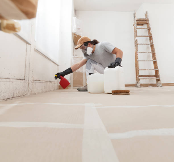 Best Industrial Mold Remediation  in Scappoose, OR